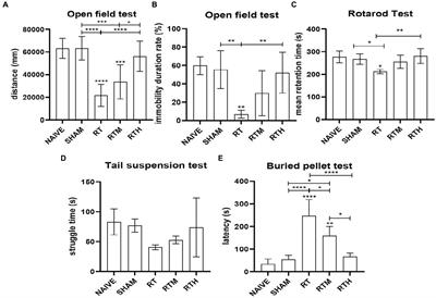 Effect of Dl-3-n-Butylphthalide on olfaction in rotenone-induced Parkinson’s rats